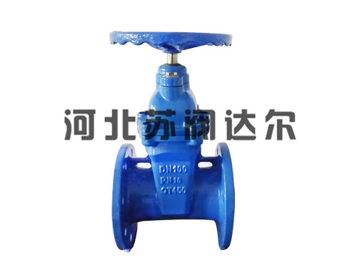 大体暗杆弹性座封闸阀