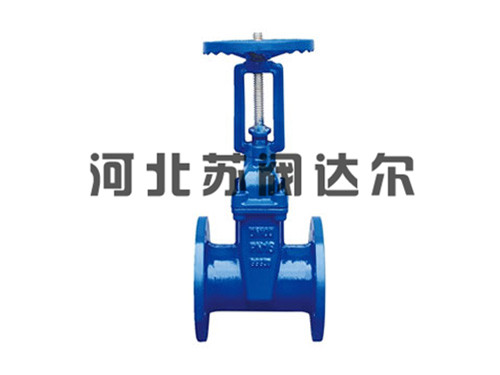 明杆弹性座封闸阀