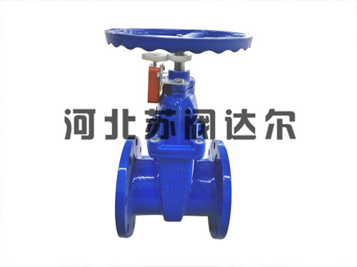 安全供水的发展现状同供水管网的建造维护