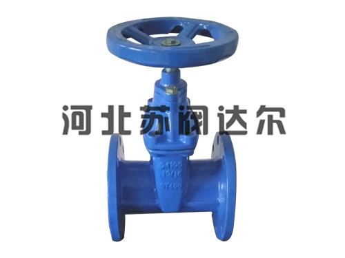 中体暗杆弹性座封闸阀