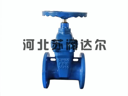 国标暗杆弹性座封闸阀