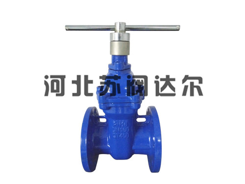 锁闭硬密封闸阀门经历怎样的变革