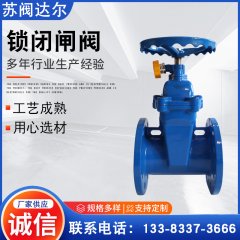 国标侧锁闭软密封闸阀