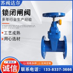 赣马体软密封侧锁闭闸阀